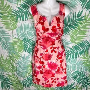 Adrianna Papell Floral Pink and Red Dress Size 14